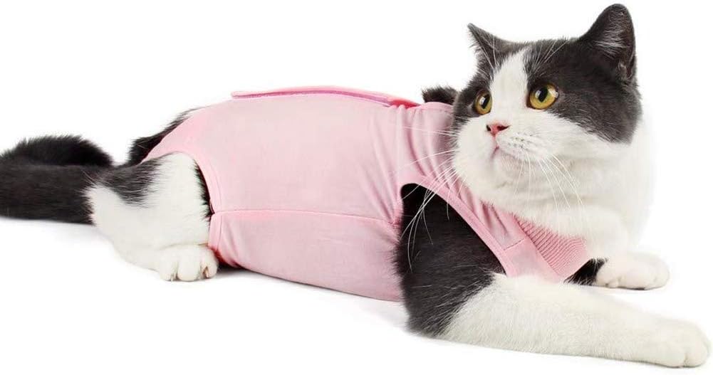 Cat Recovery Suit for Abdominal Wounds or Skin Diseases