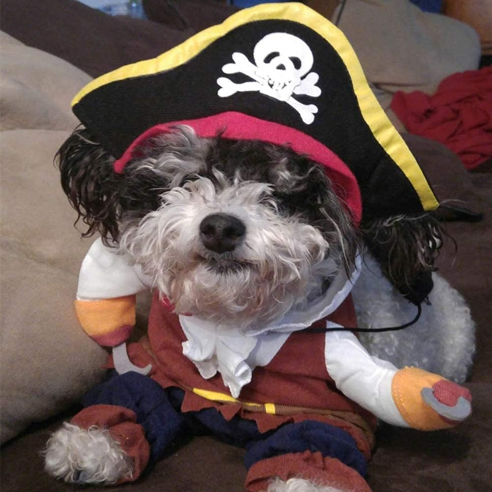 Cat Costume Pirate Pet Clothes for Puppy Kitty