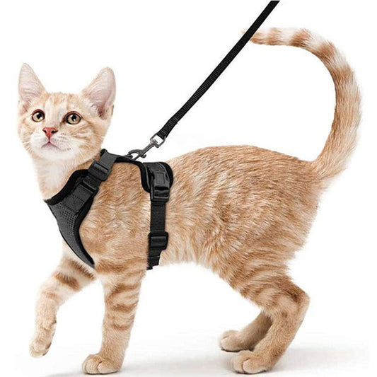 Cat Harness and Leash for Walking, Escape Proof Soft Adjustable Vest Harnesses