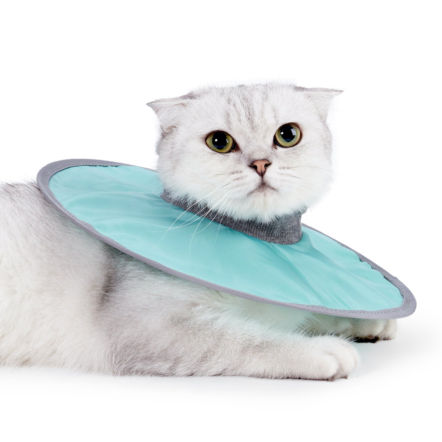 Waterproof Cat Recovery Collar