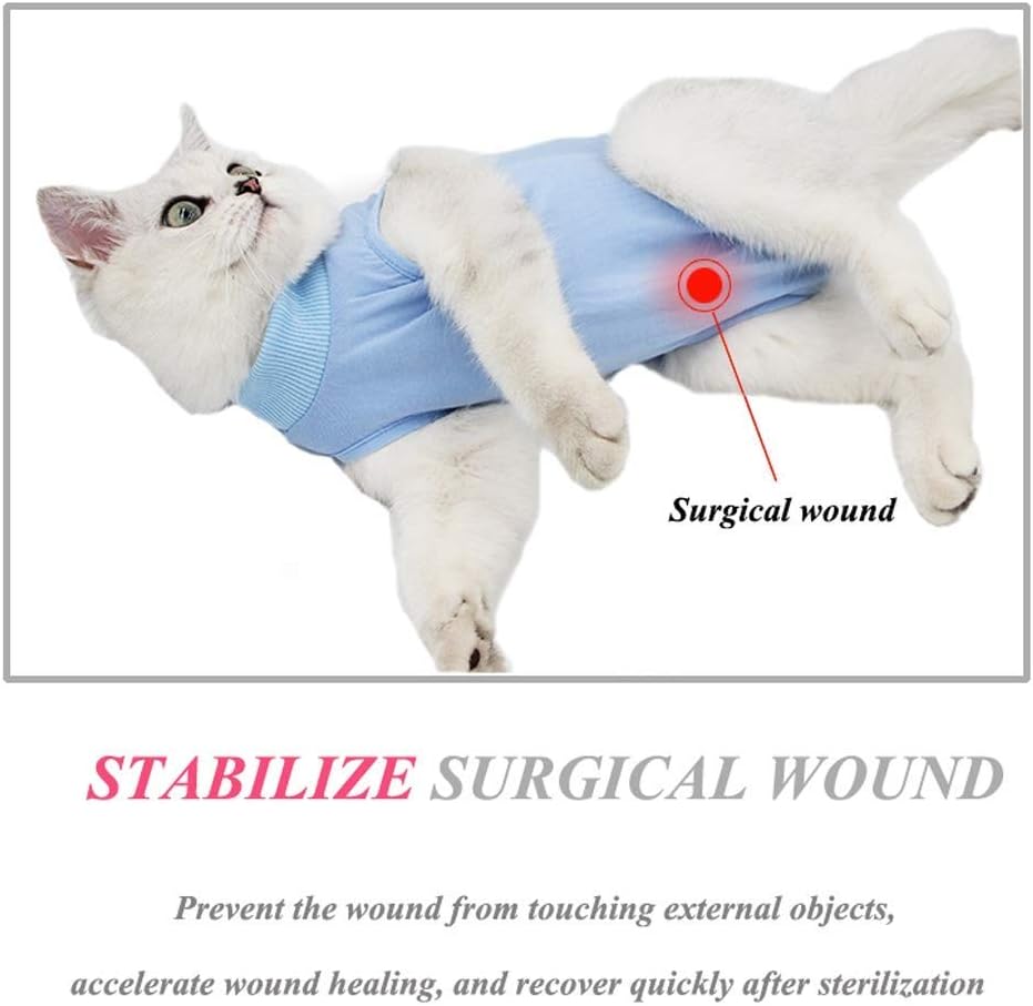 Cat Recovery Suit for Abdominal Wounds or Skin Diseases