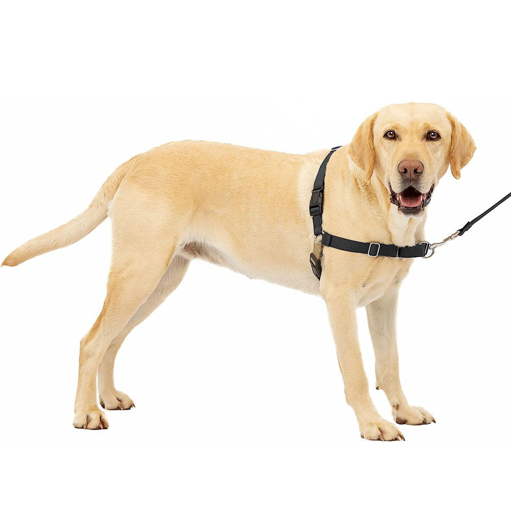 Easy Walk No-Pull Dog Harness