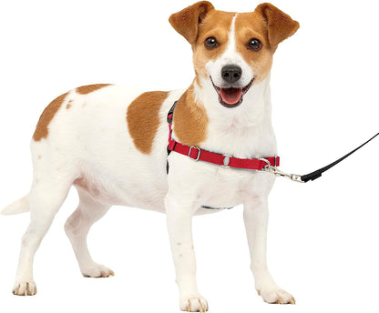 Easy Walk No-Pull Dog Harness