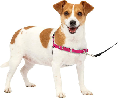 Easy Walk No-Pull Dog Harness