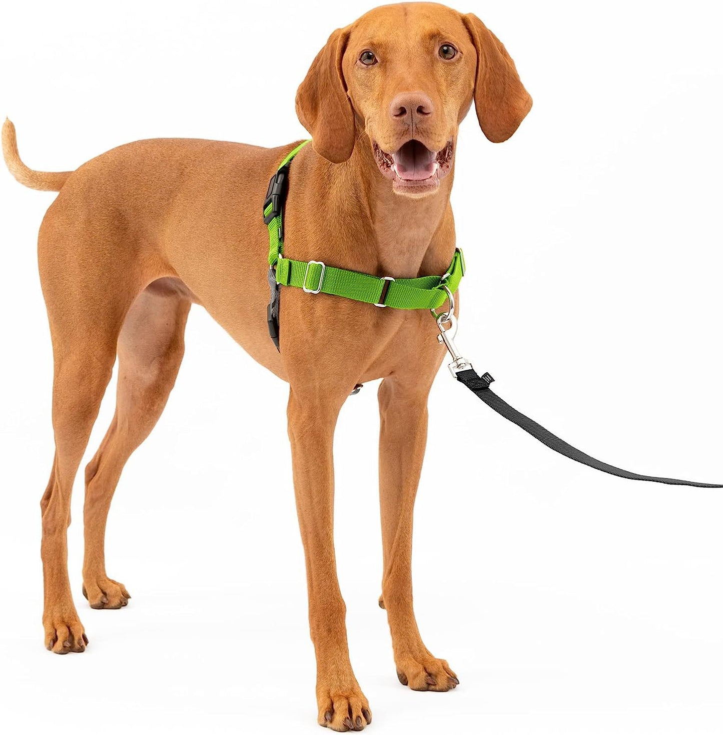 Easy Walk No-Pull Dog Harness