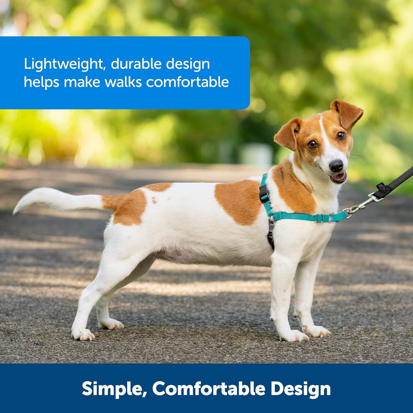 Easy Walk No-Pull Dog Harness