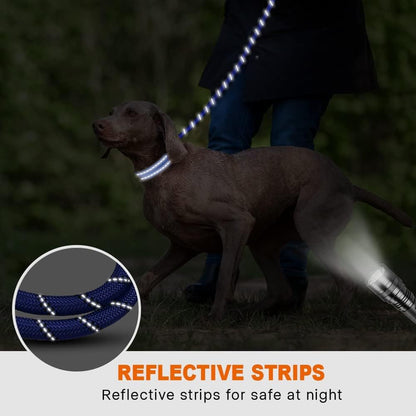 3 Pack Highly Reflective Threads Dog Leash