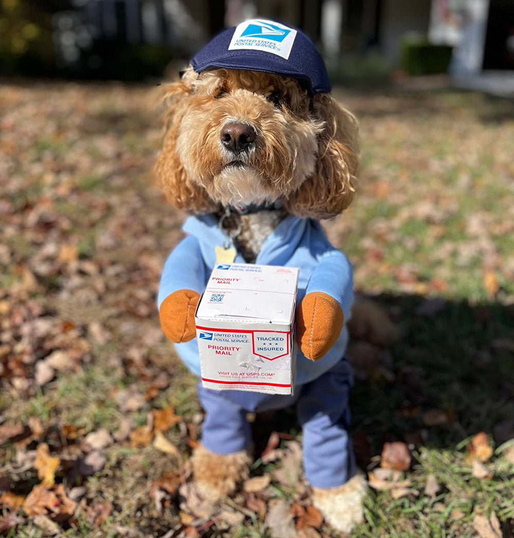 Halloween Cosplay Dog Mail Carrier Costume USPS