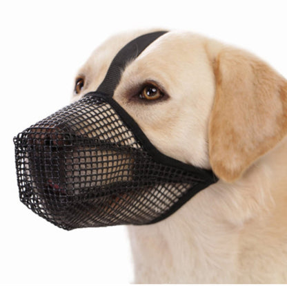 Soft Mesh Covered Dog Muzzles with Adjustable Straps