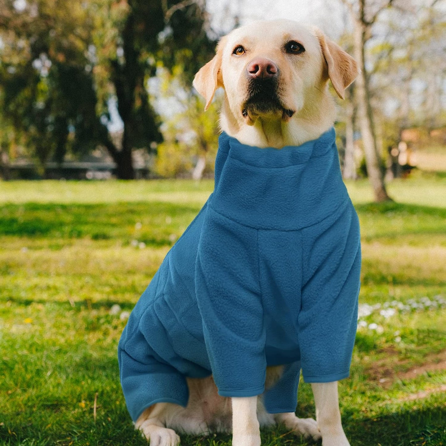 Dog Winter Coat Soft Fleece Pullover Pajamas