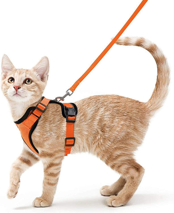 Cat Harness and Leash for Walking, Escape Proof Soft Adjustable Vest Harnesses